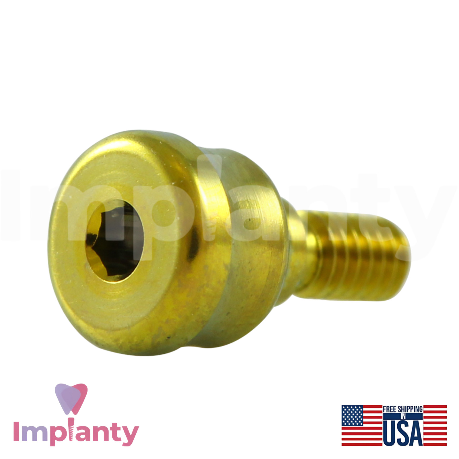 GDT Concave Anatomic Dental Titanium Prosthetics Kit Int Hex 2.42mm Connection