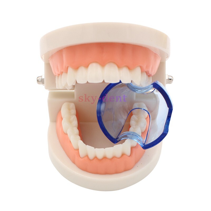 Dental Double Cheek Lip Retractor Teeth Dilator Opener Anterior/Posterior Teeth