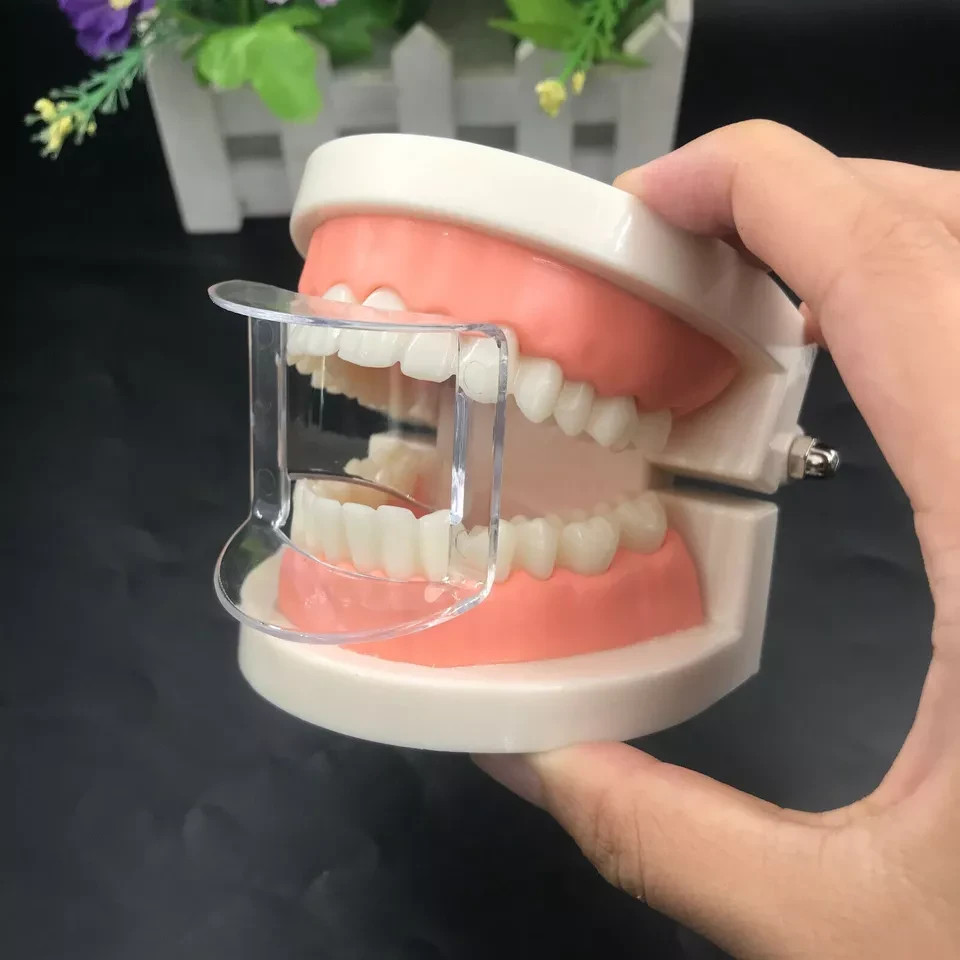 Dental Mouth Opener Bite Block Cheek Lip Retractor Expander Anterior/Posterior