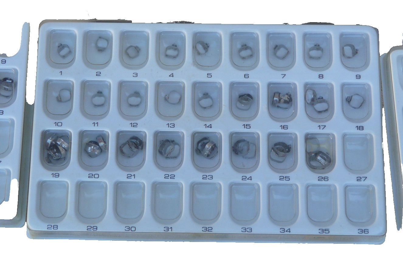 molar bands