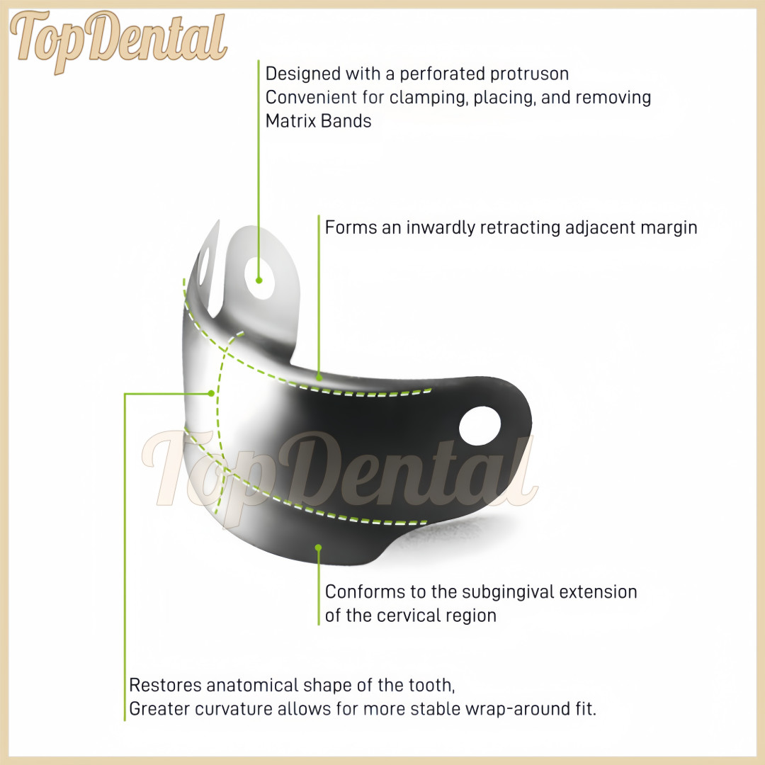 4 Size Dental Matrix Bands Titanium Sectional Contoured Clamp Rings Matrices