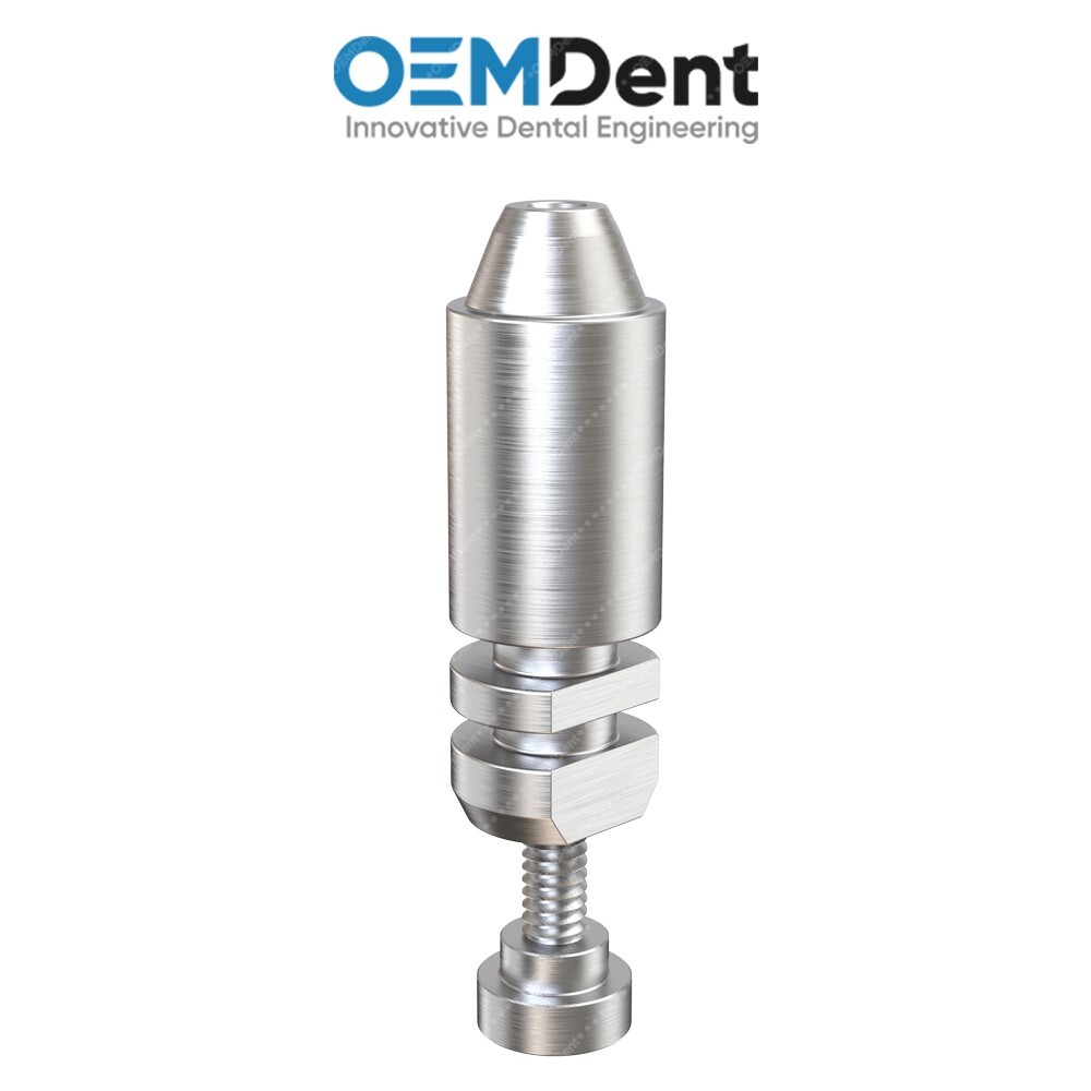 X10 Multi Unit Digital Analog Ø4.8mm 3i® Biomet Certain Compatible Dental Lab