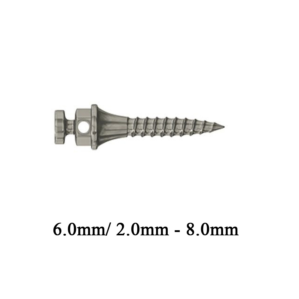 1pcs Dental Orthodontic TAD Mini Screw Surg ical Impl ant Titanium