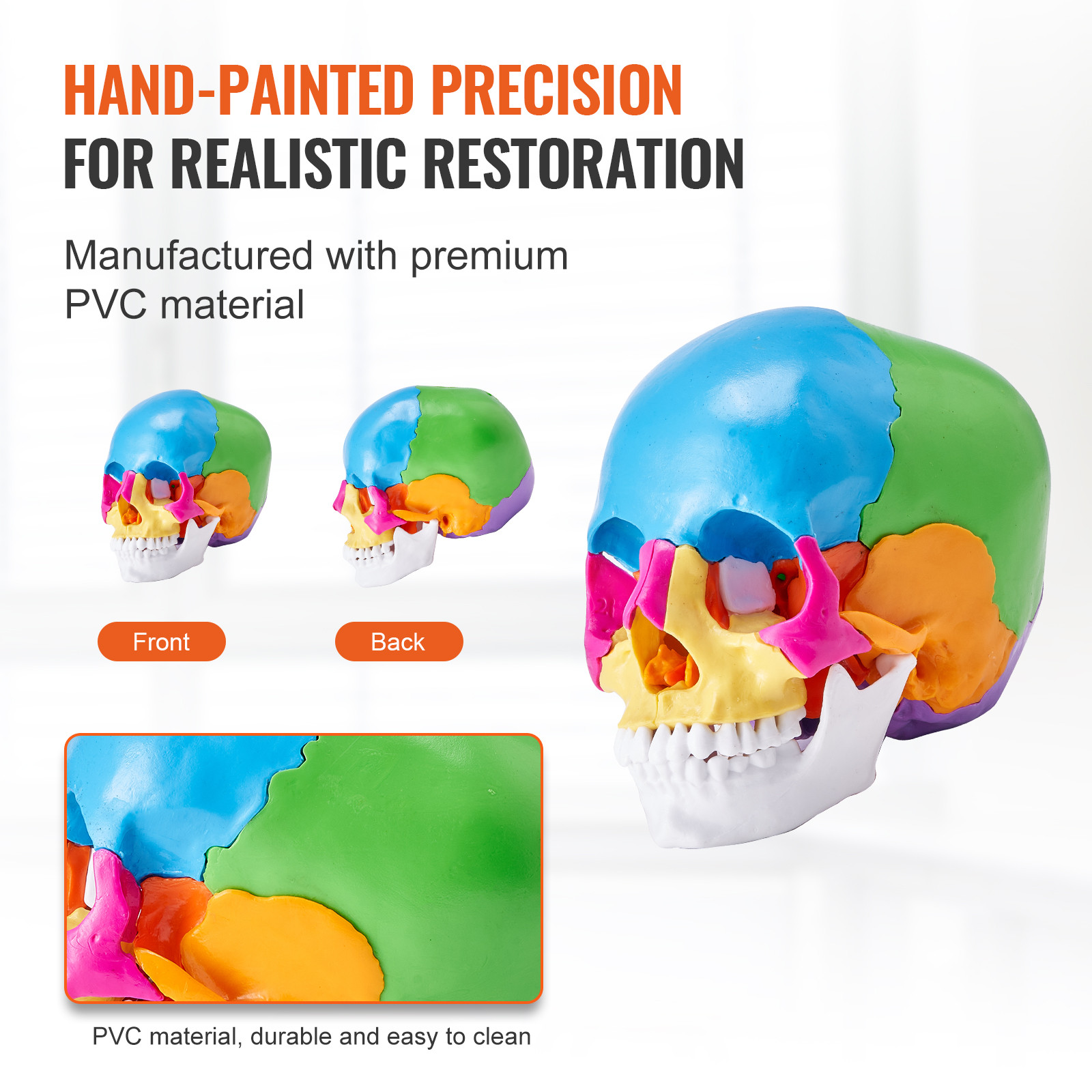 VEVOR Human Skull Model Anatomical Skull Model 22 Parts 1:1 Colored Skeleton