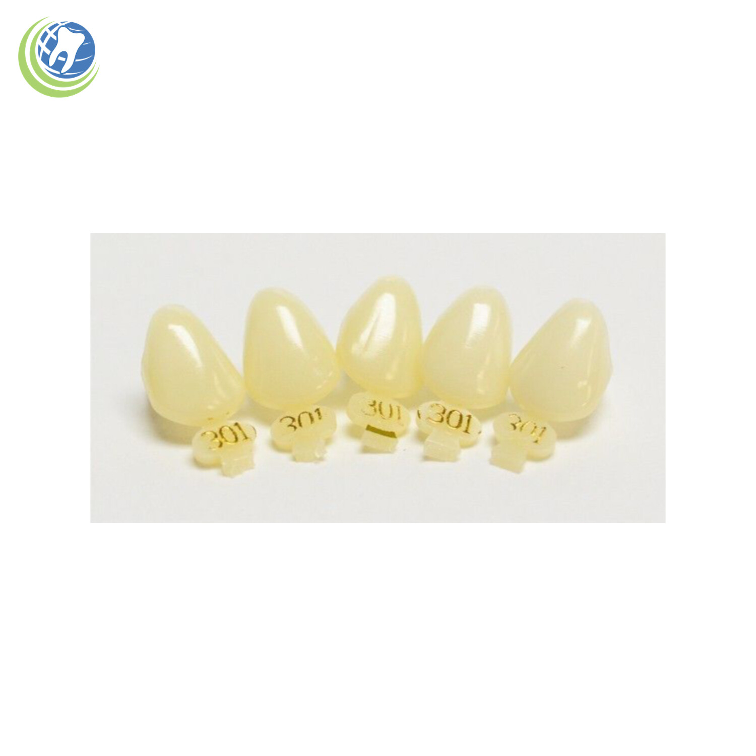 Tooth #6 or #27 Upper or Lower Right Cuspid Polycarbonate Crowns Cap Refills