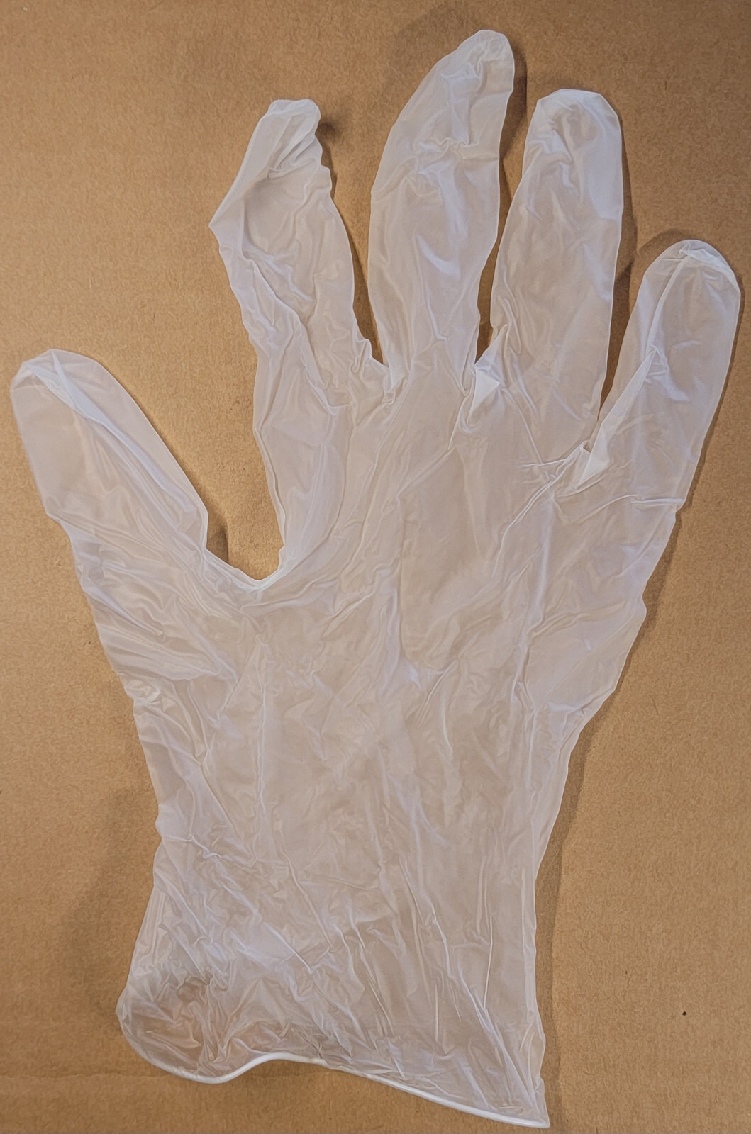 100x Large Disposable Vinyl Examination Gloves NON-STERILE Powder Free Clear