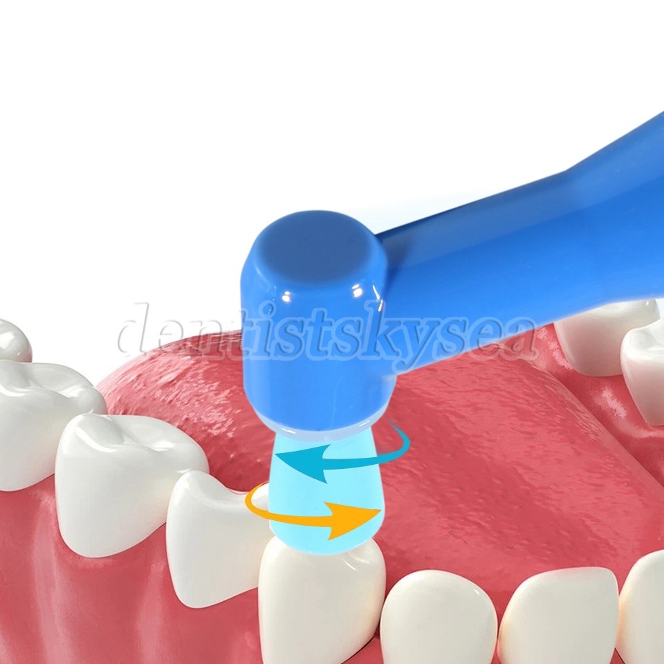 Disposable Prophy Angles Regular Latex Free Contra Angle 105° Firm 100pcs Dental