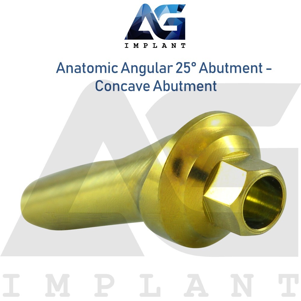 5 Anatomic Angular Concave Abtment 25° Titanium Internal Hex