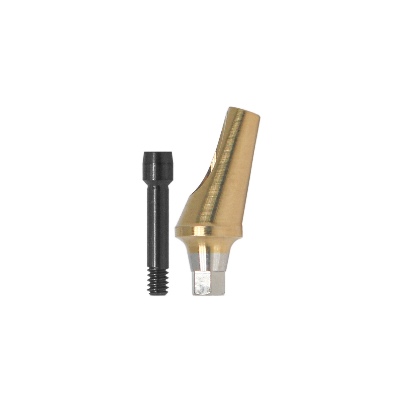 US 17° Angulated Abutment Mini Hex for Osstem TS Mini NP Platform Titanium Screw
