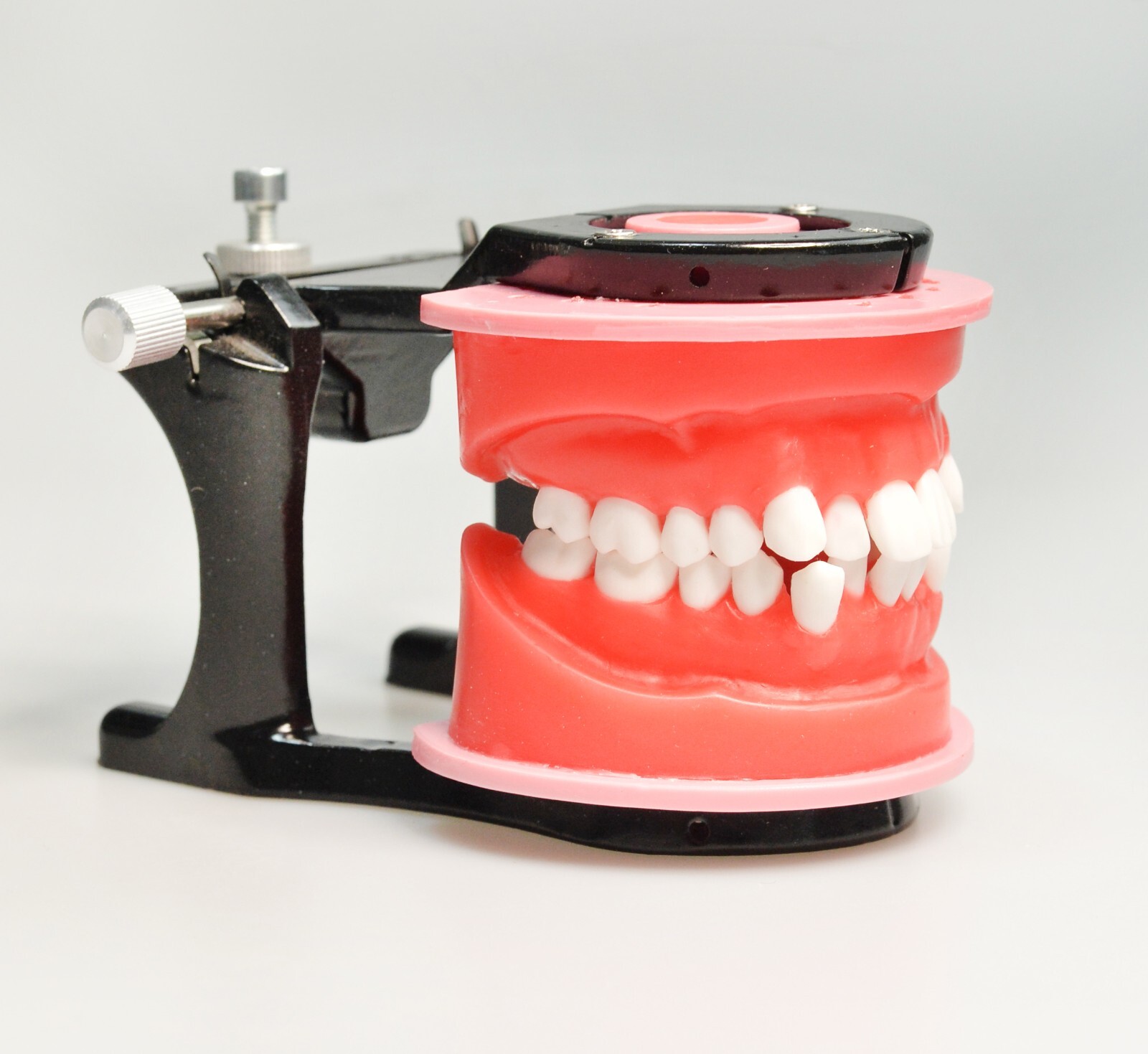 Reusable Dental Practical Study Training Model/typodont/orthodontics Wax Model