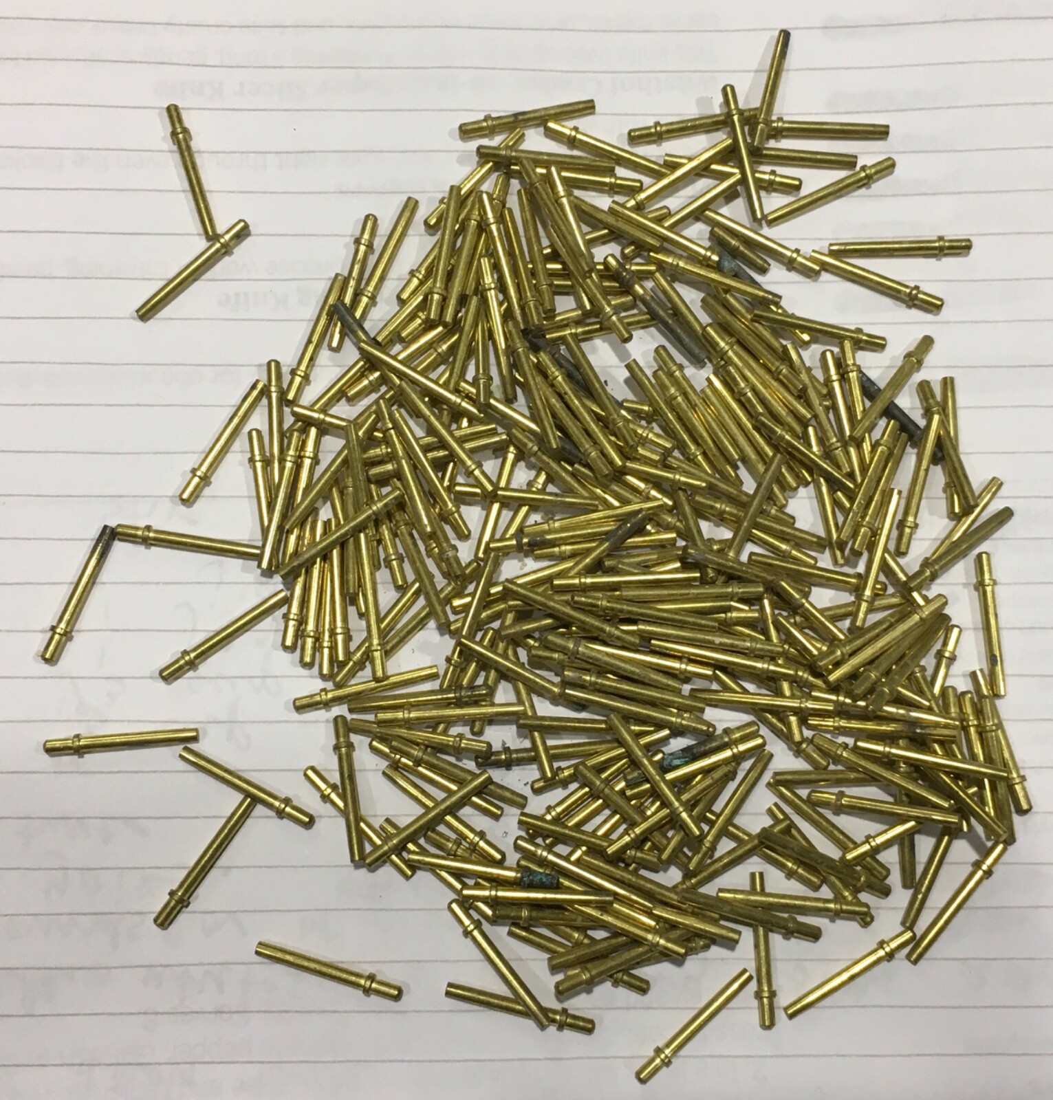 Whaledent Pindex Long Index Pins, 250 count, 2 cm length