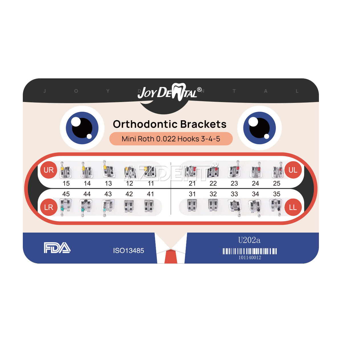 AZDENT Dental Orthodontic Brackets Braces/Super Elastic Niti Ovoid Arch Wires