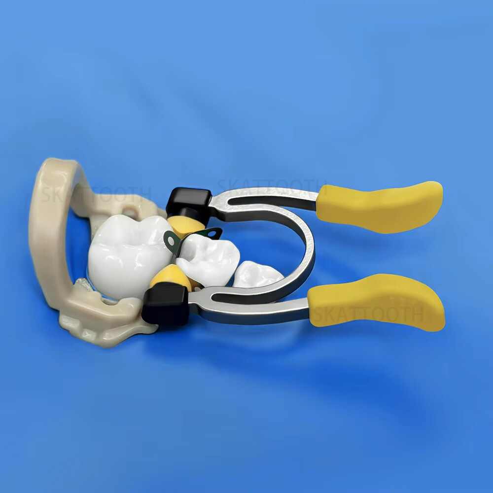 Dental Matrix Bands Ring Sectional Matrice Clamp Fit Palodent V3 Garrison