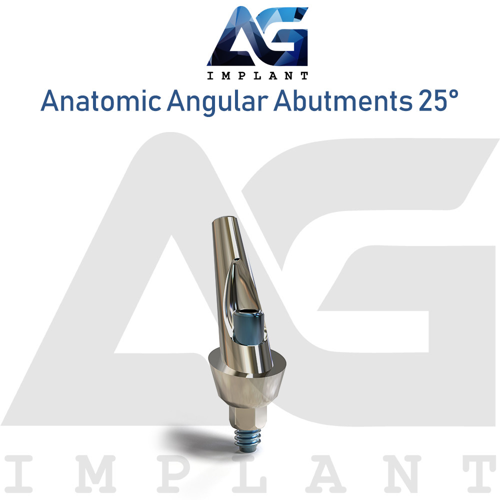 Anatomic Angular Abutment 25° Aesthetic Titanium Dental Int Hex 2.42mm