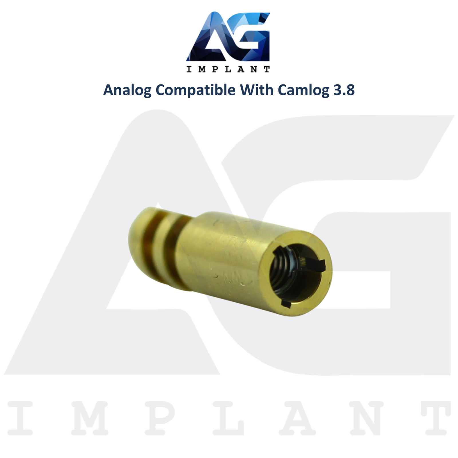 10 Fixture Analog Compatible with BioHorizons® CAMLOG® Ø3.8mm Dental Lab