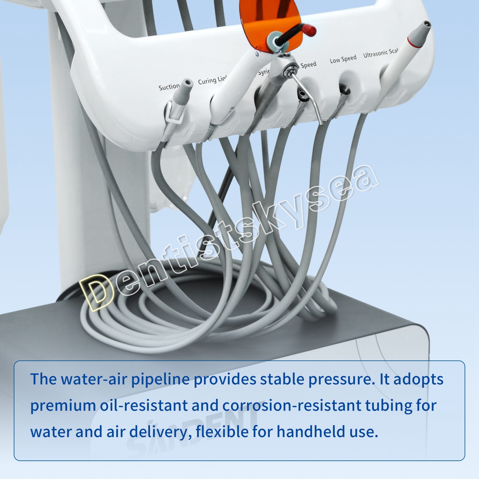Veterinary Dental Unit with Foot Control Portable for Animal Oral Care &Cleaning