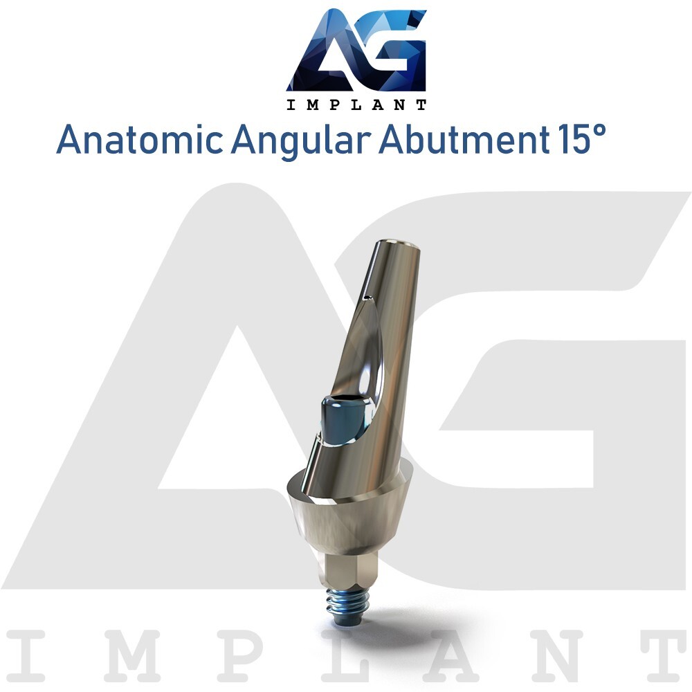 10 Anatomic Angular Prosthetic 15° Aesthetic Titanium Int Hex 2.42mm