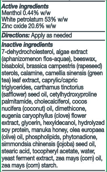 Medline Remedy Zinc Oxide Paste With Menthol 2oz- MSC092552