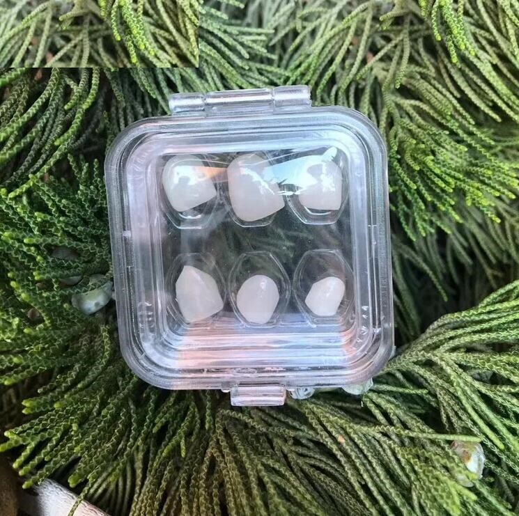 Plastic Dental Box Denture Storage Box with Membrane Hinge Display Jewelry Boxes