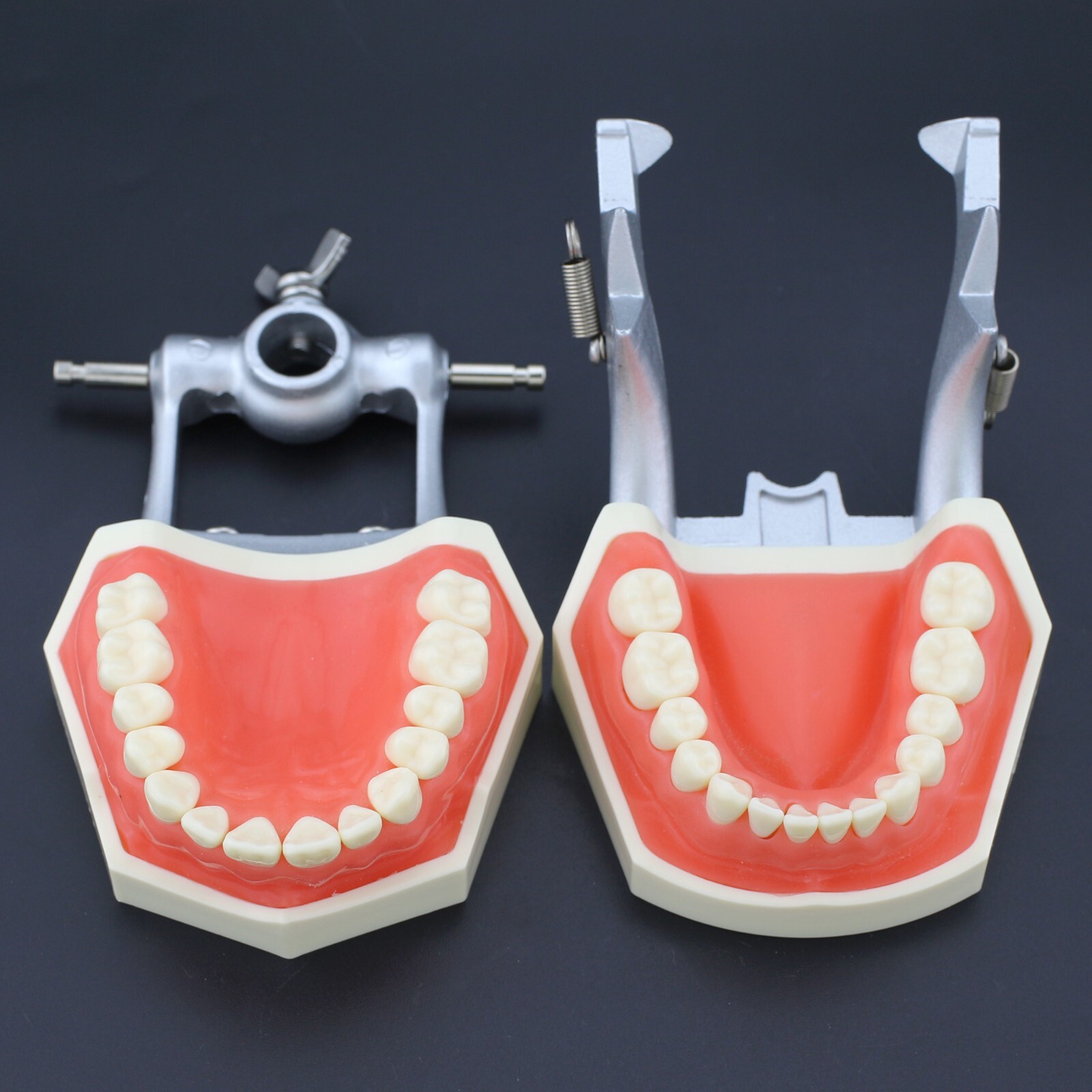 Dental Typodont Mounting Pole Model With 28pcs Removable Teeth Kilgore Nissin200