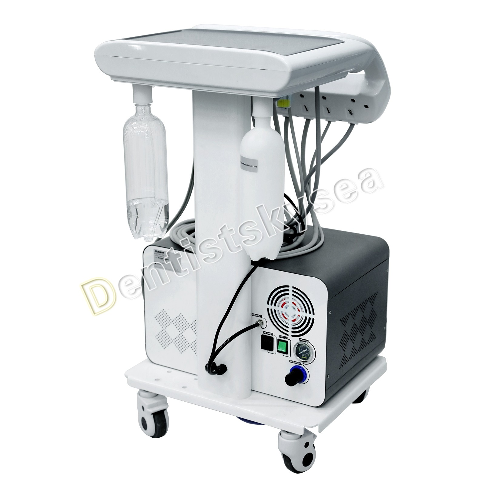 Veterinary Dental Unit with Built-in Compressor Portable Animal Dental Machine