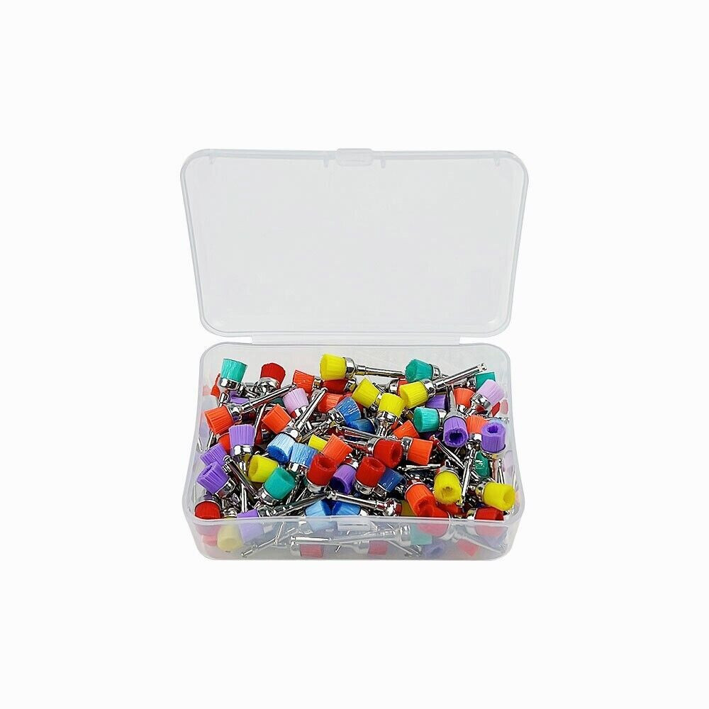 Dental Nylon Latch Flat Polishing Prophy Bowl Type Brush New Mixed Color 1 BOX