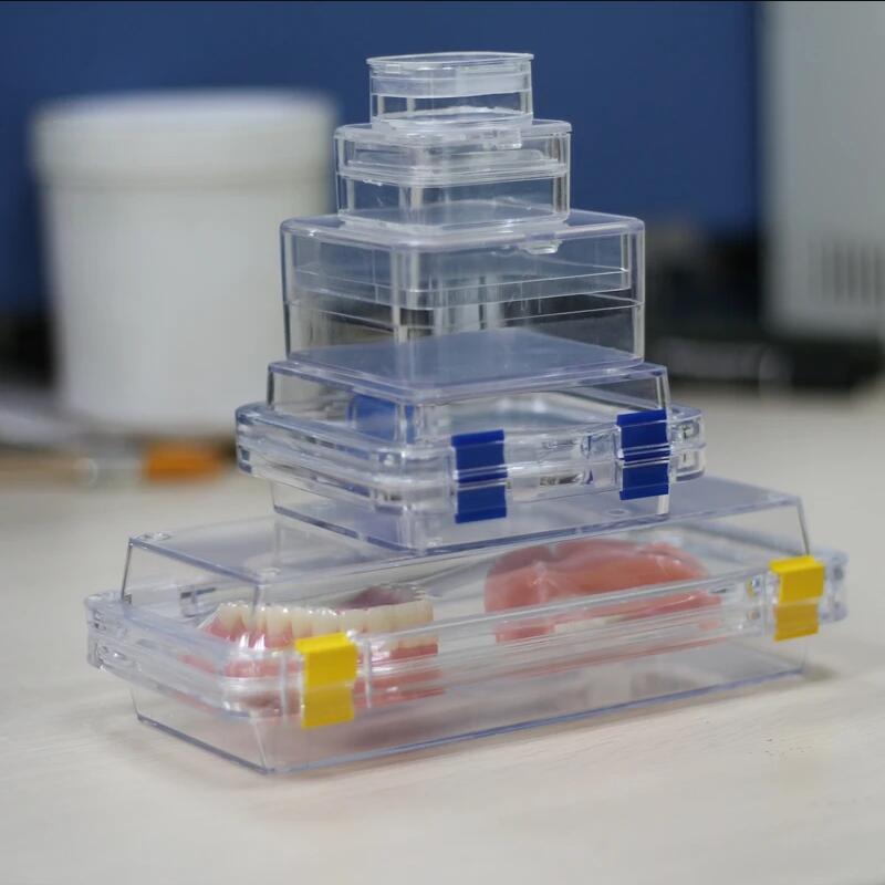 Plastic Dental Box Denture Storage Box with Membrane Hinge Display Jewelry Boxes