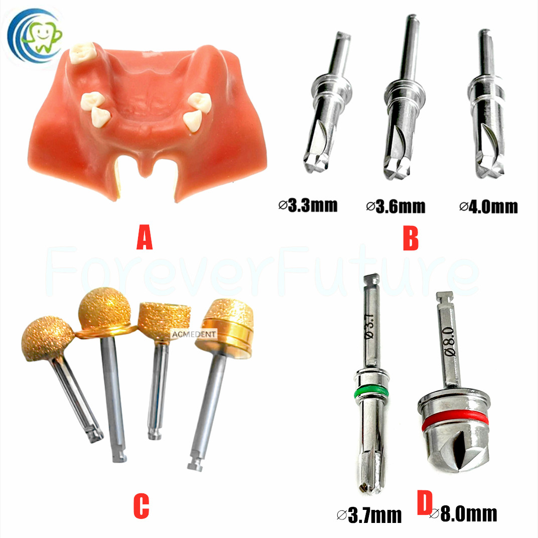 Dental Maxillary Sinus Lift Drills/Training Practice Model/Diamond Coated Drills