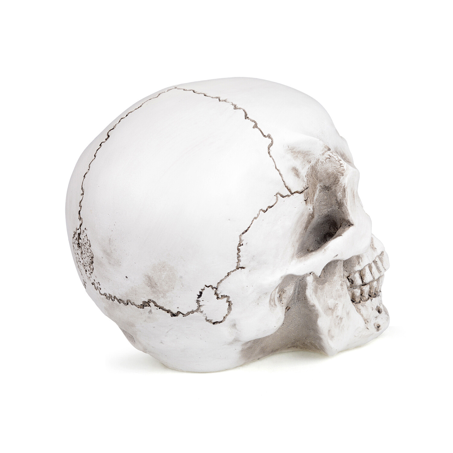 1:1 Retro Human Skull Replica Resin Anatomical Model Medical Life Size Realistic