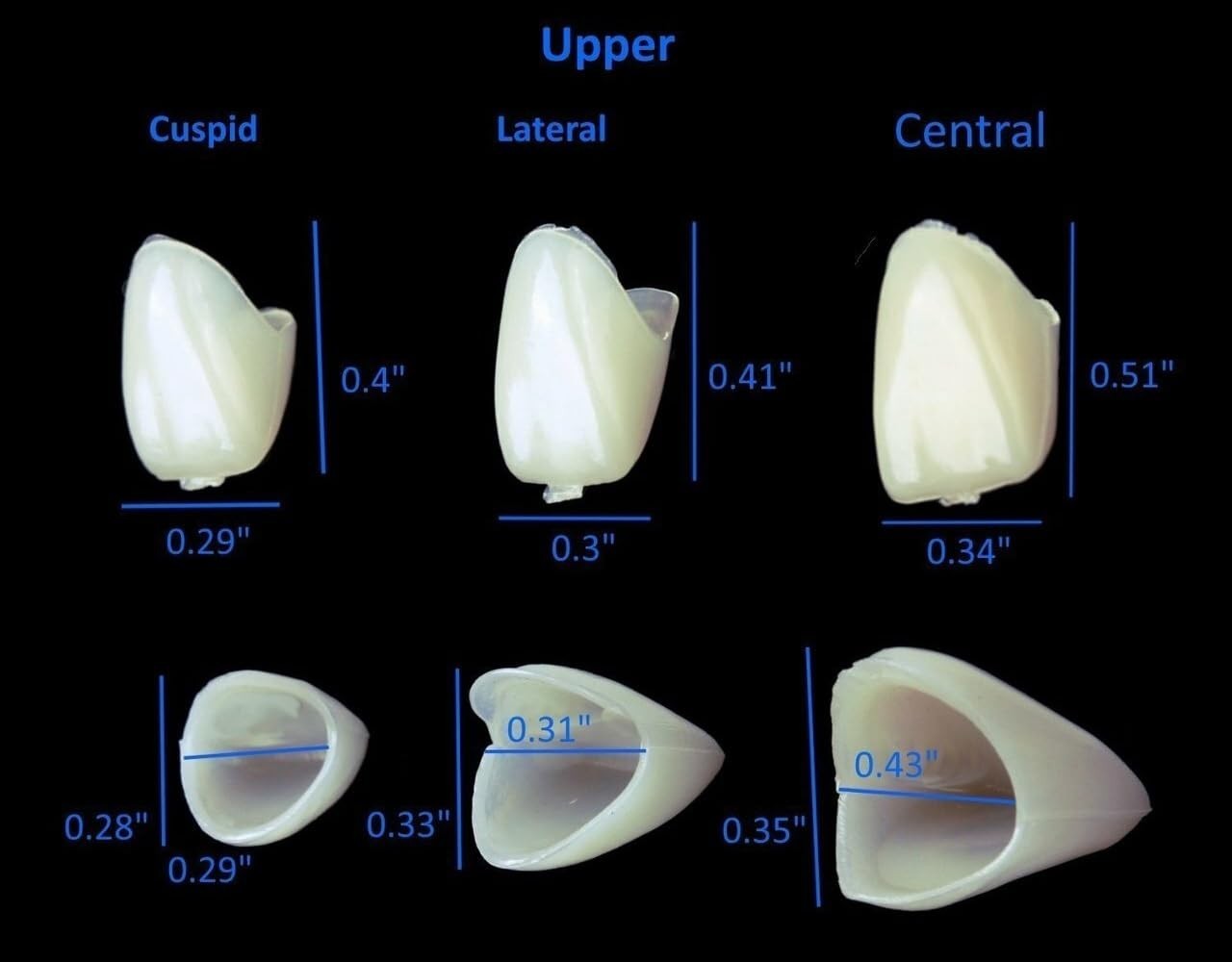 Mixed Sizes Dental Temporary Crown Kit Anteriors Box/50