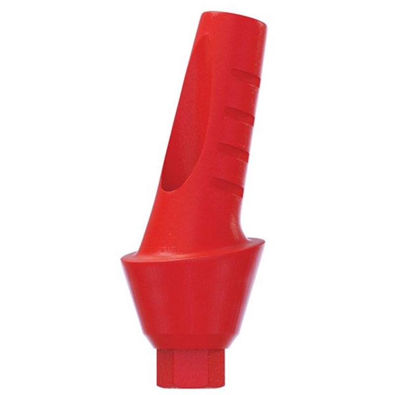 10 Angulated Anatomic Plastic Castable 15° UCLA Prosthetic Int Hex 2.42mm Dental