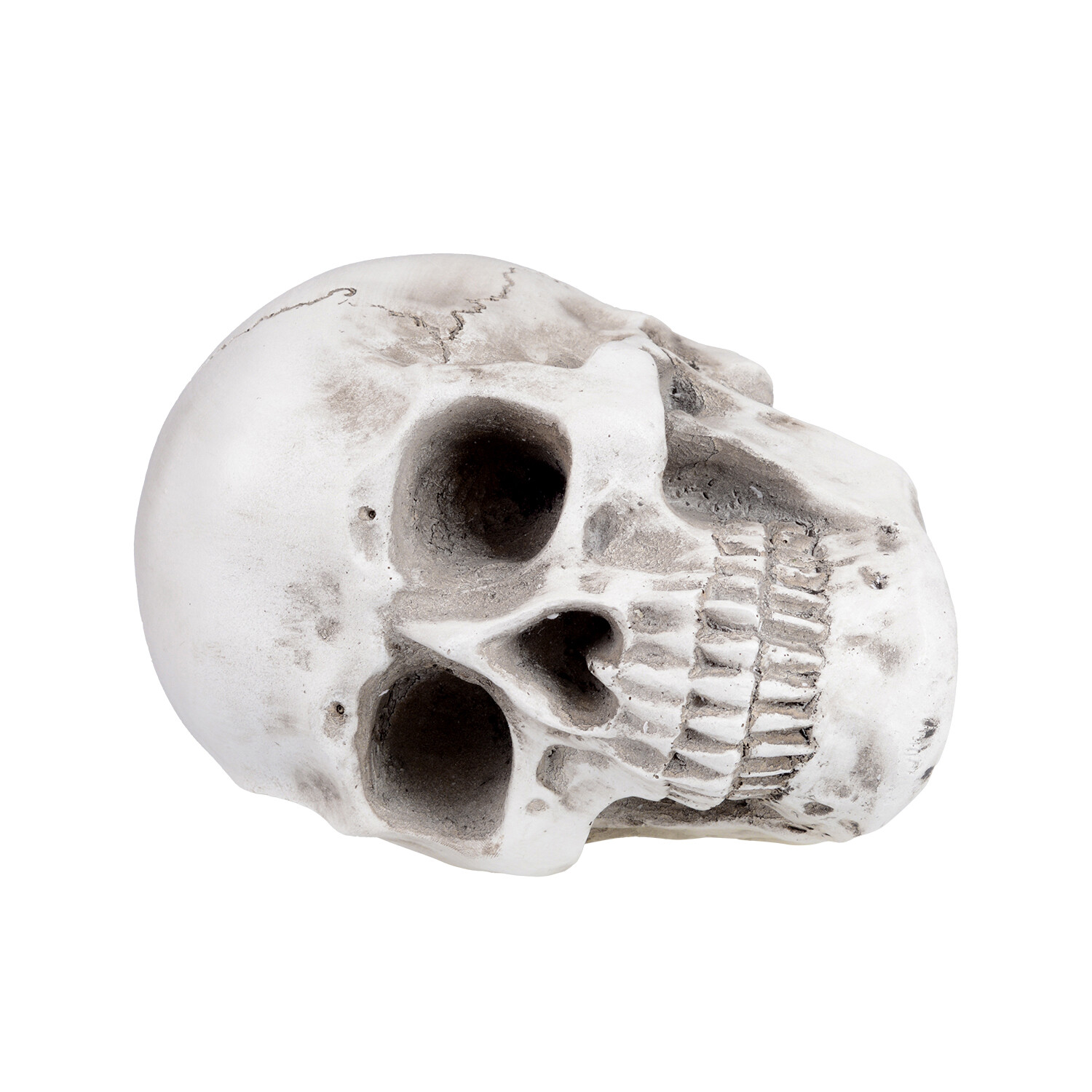 1:1 Retro Human Skull Replica Resin Anatomical Model Medical Life Size Realistic