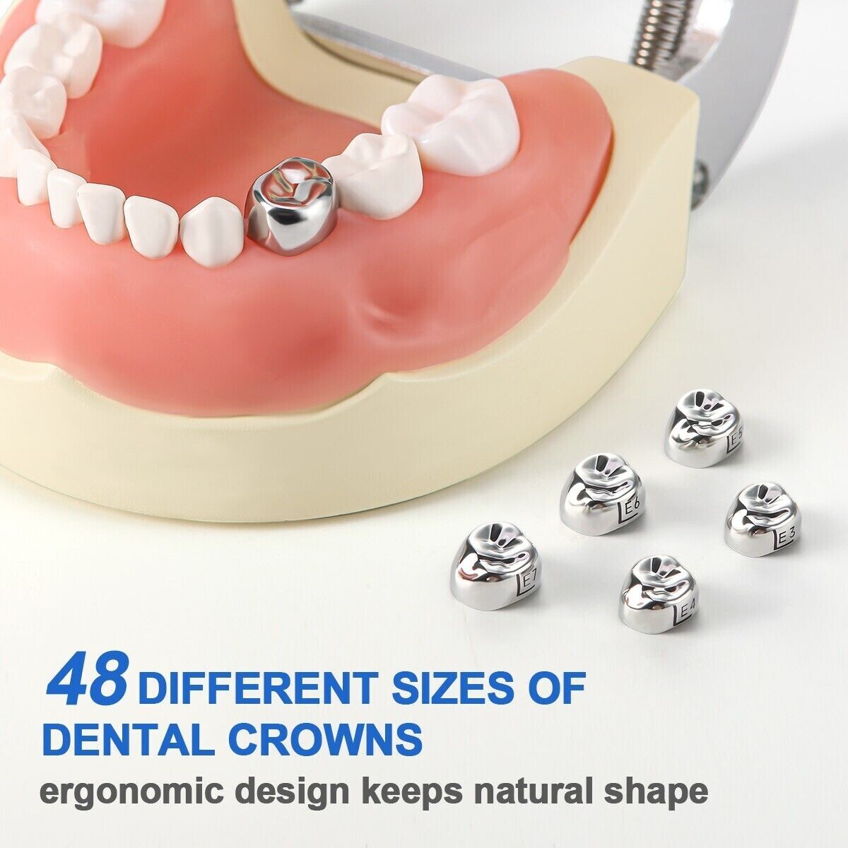 5 Pcs/Box Dental Stainless Steel Kids Primary Molar Crown Pediatric Metal Crowns