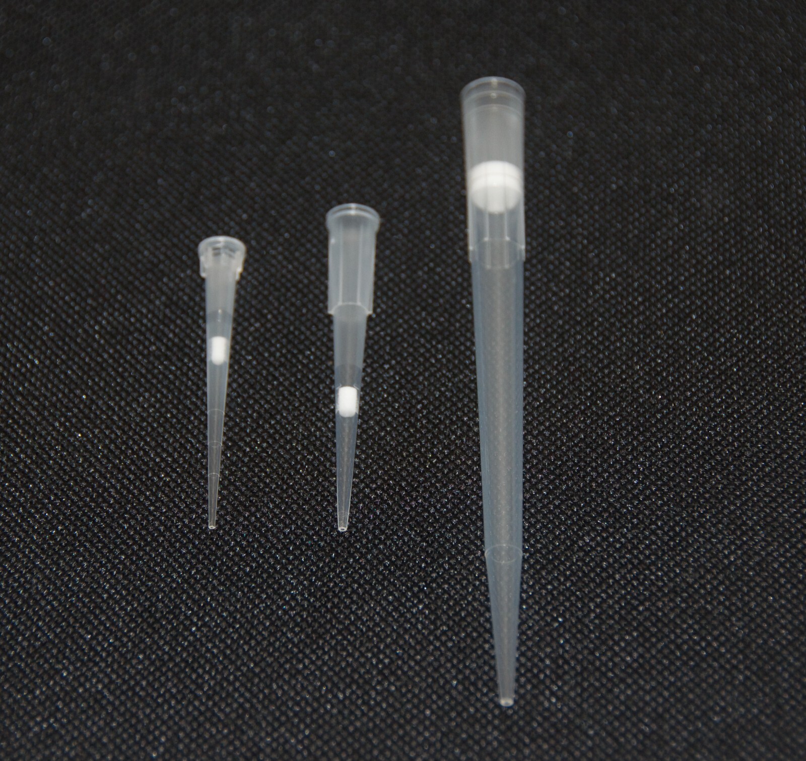 200uL Universal Filter Pipette Tips (960), Sterile, DNase/RNase free, 10 Racks
