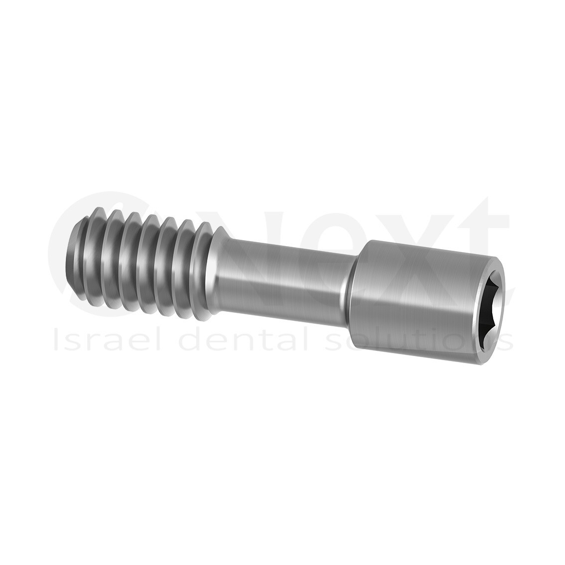 Lotx10 Titanium straight temporary abutment with hex 2.42