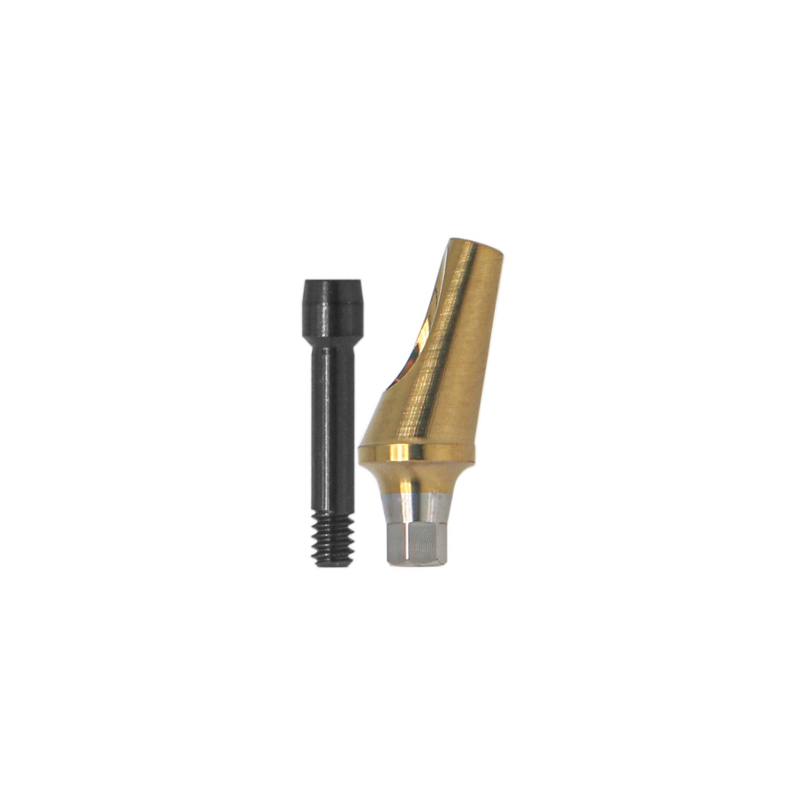 US 17° Angulated Abutment Mini Hex for Osstem TS Mini NP Platform Titanium Screw