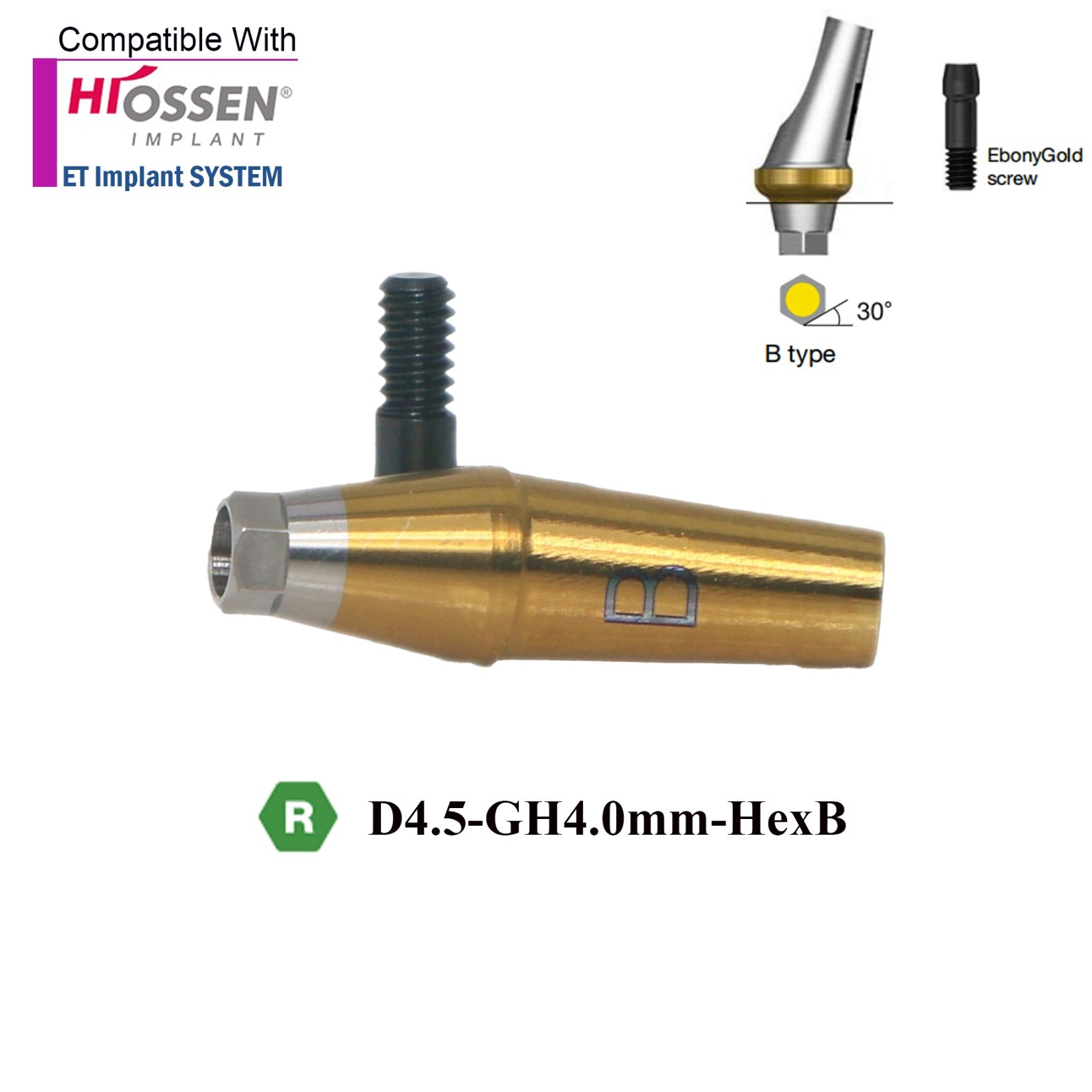US Dental 17° Angled Anatomic Abutment Mini /Regular Fits Hiossen Osstem TS