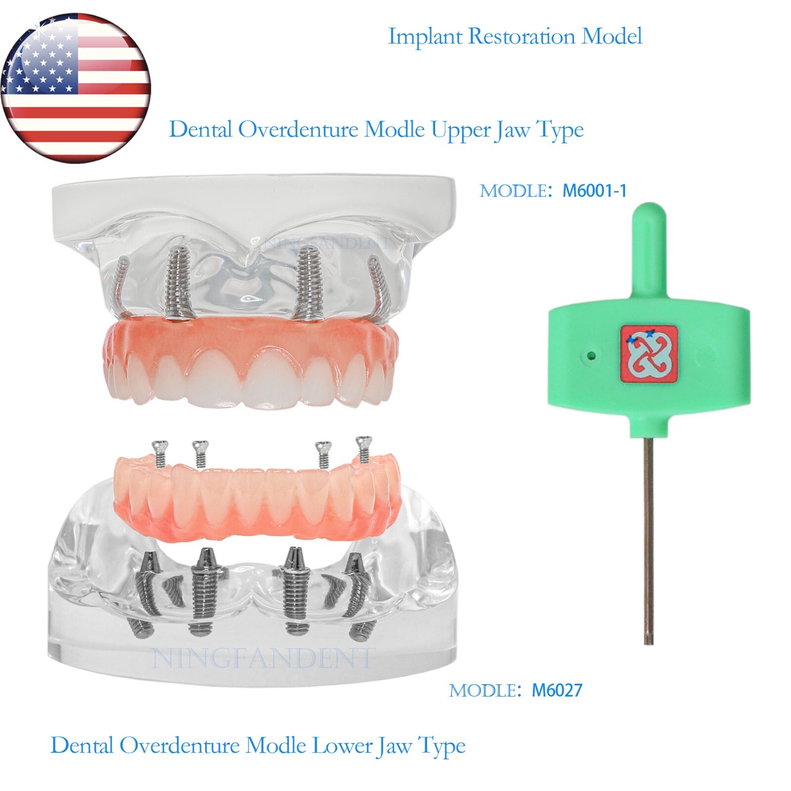 US Dental Implant Demo All-On-4 Treatment Repair Model Upper/Lower Jaw Kit,Clear