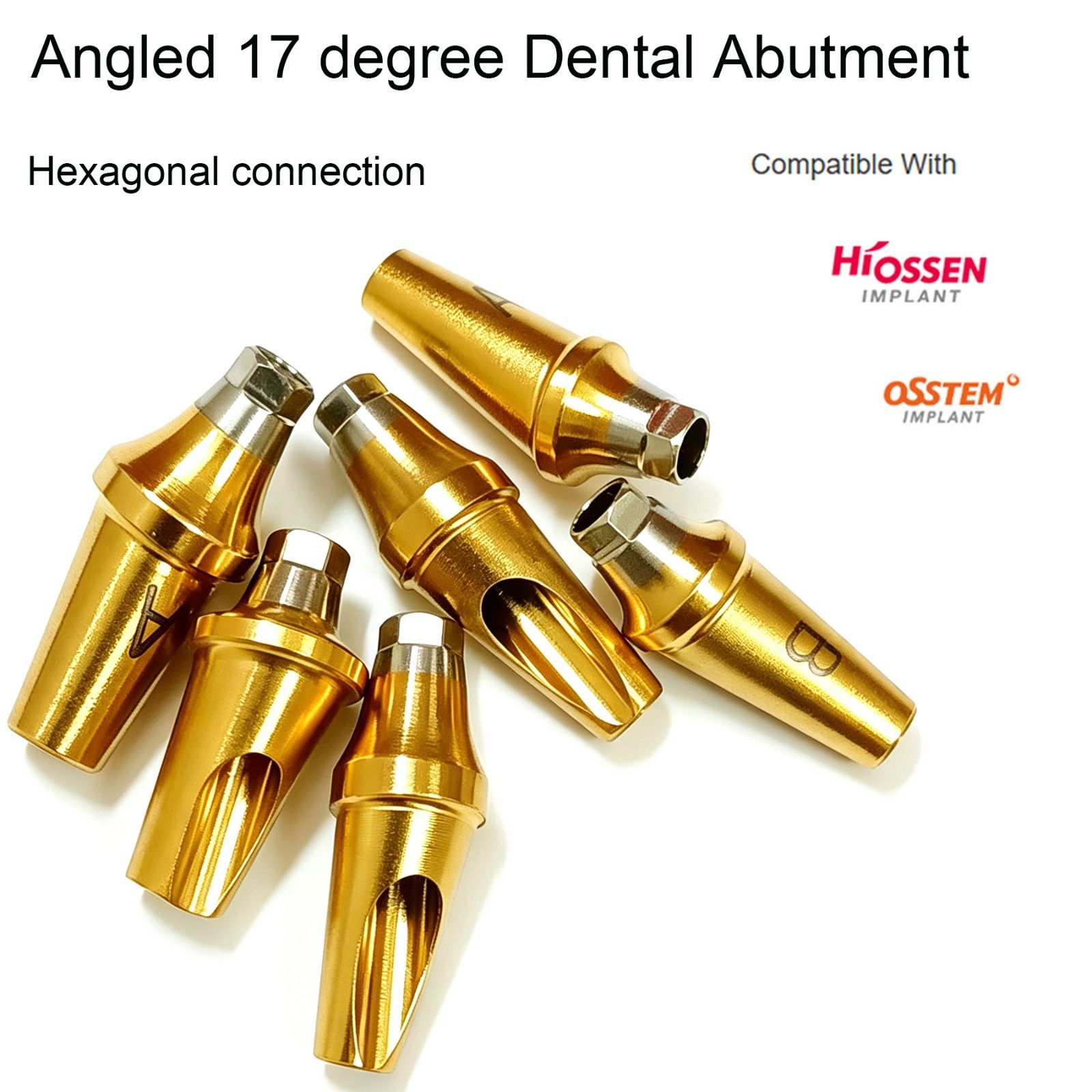 US Dental 17° Angled Anatomic Cemented Abutment for Hiossen ET OSS Regular Mini