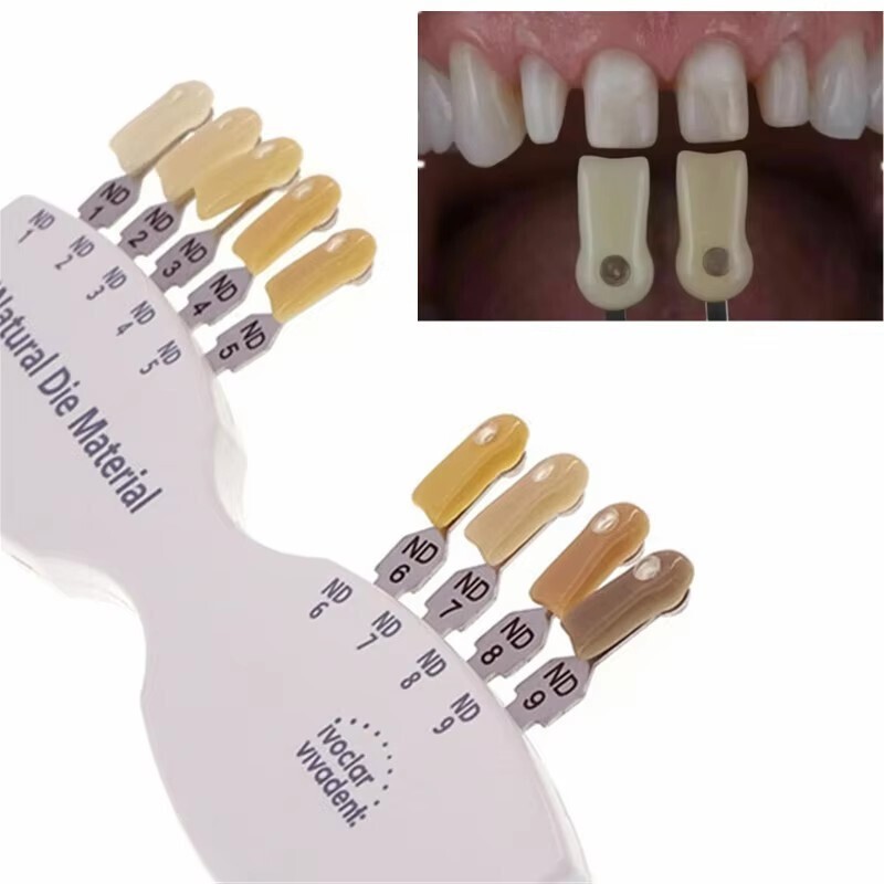 Dental IPS Natural Die ND1-9 Material Tooth Shade Guide 9 Colors Abutment Tools