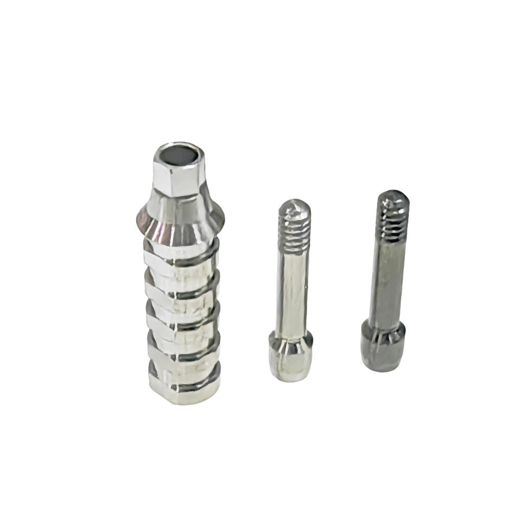 Dental ET Temporary Abutment Mini Regular Ti Screws EbonyGold Osstem Φ4.0 Φ4.5
