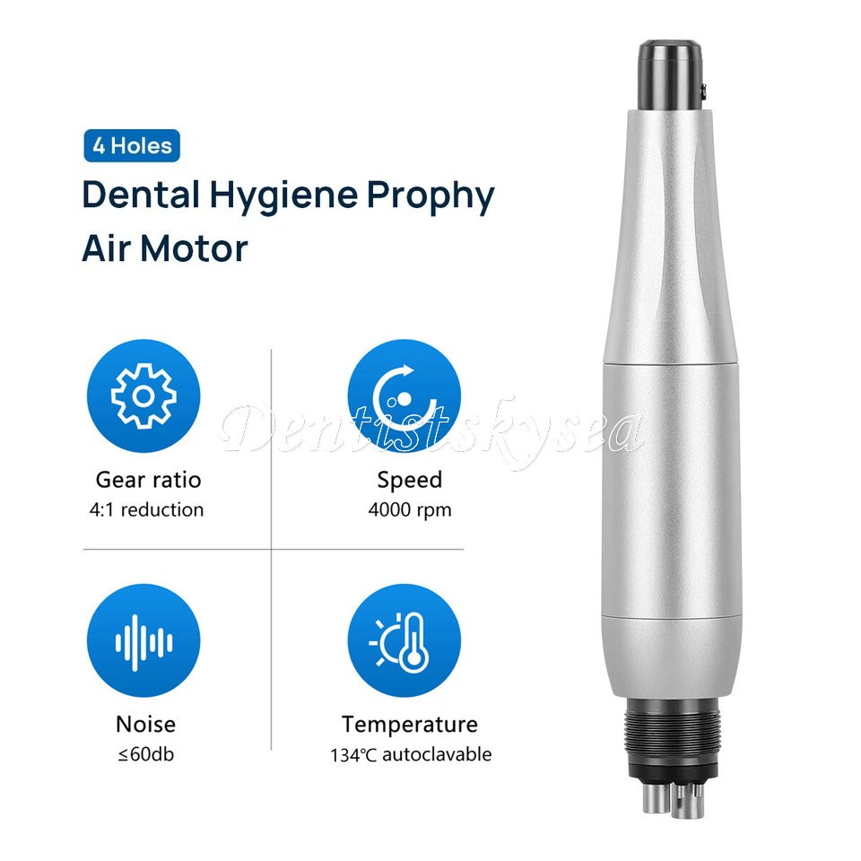 Premium Plus Dental Hygiene Prophy Handpiece Air Motor 4 Holes & 4:1 Nose Cone