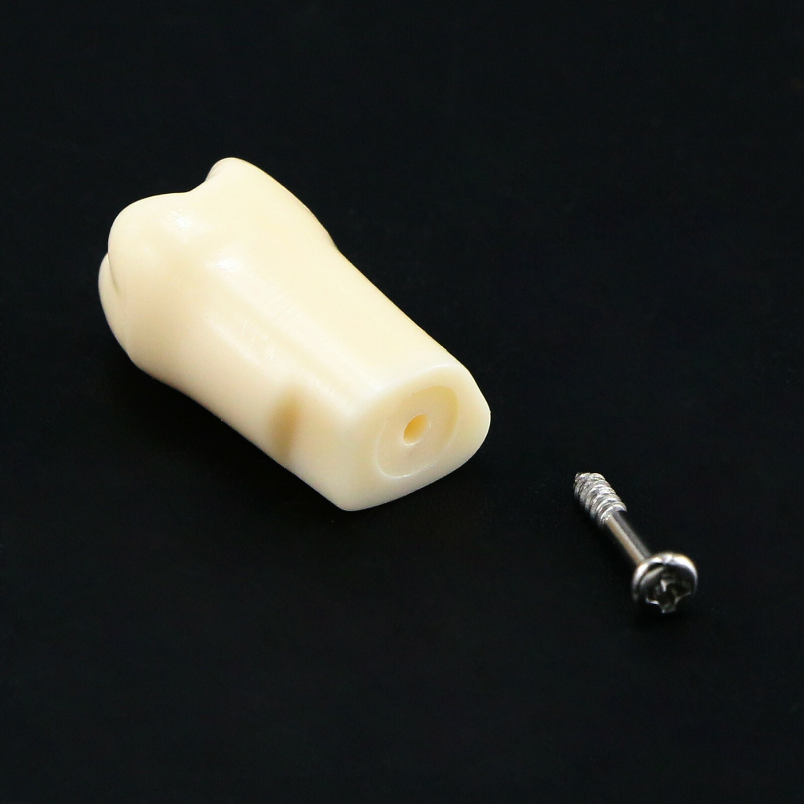 US Dental Typodont Replacement Screw-in Teeth Model fit Kilgore NISSIN 200 Type