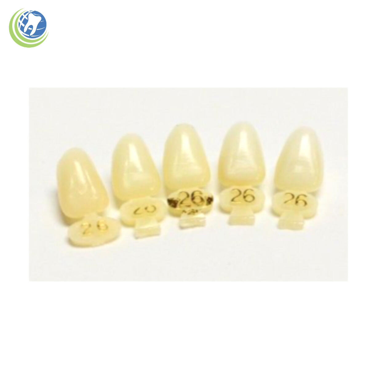 Tooth #10 Upper Left Lateral (ULL) Polycarbonate Temporary Crowns Cap Refills