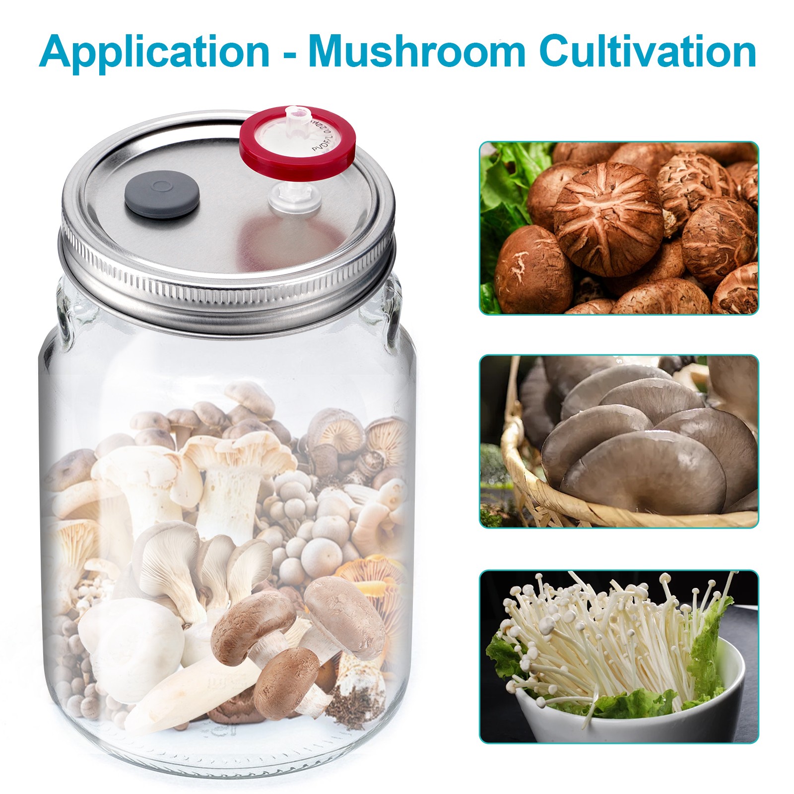 12Pcs Liquid Culture Lid Grain Spawn Cultivation Mason Jar Lid with PTFE Syringe