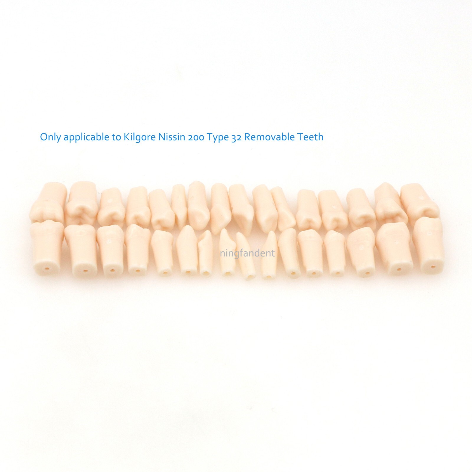 US Dental Typodont Study Detachable Model With Simulated Cheek And Mounting Pole