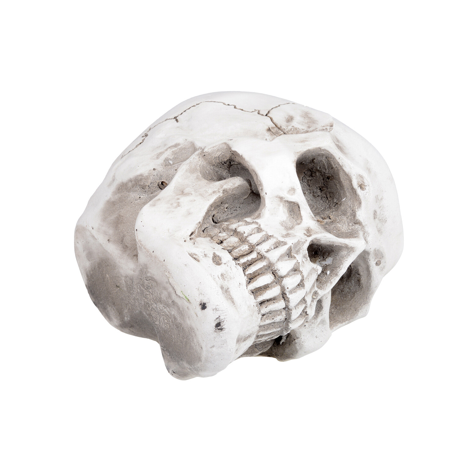 Retro Human Skull Replica Resin Anatomical Model Medical Life Size Realistic 1:1