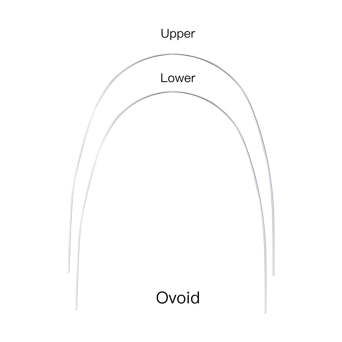 AZDENT Dental Super Elastic Round Arch Wires Niti/Stainless Steel Ovoid /Natural