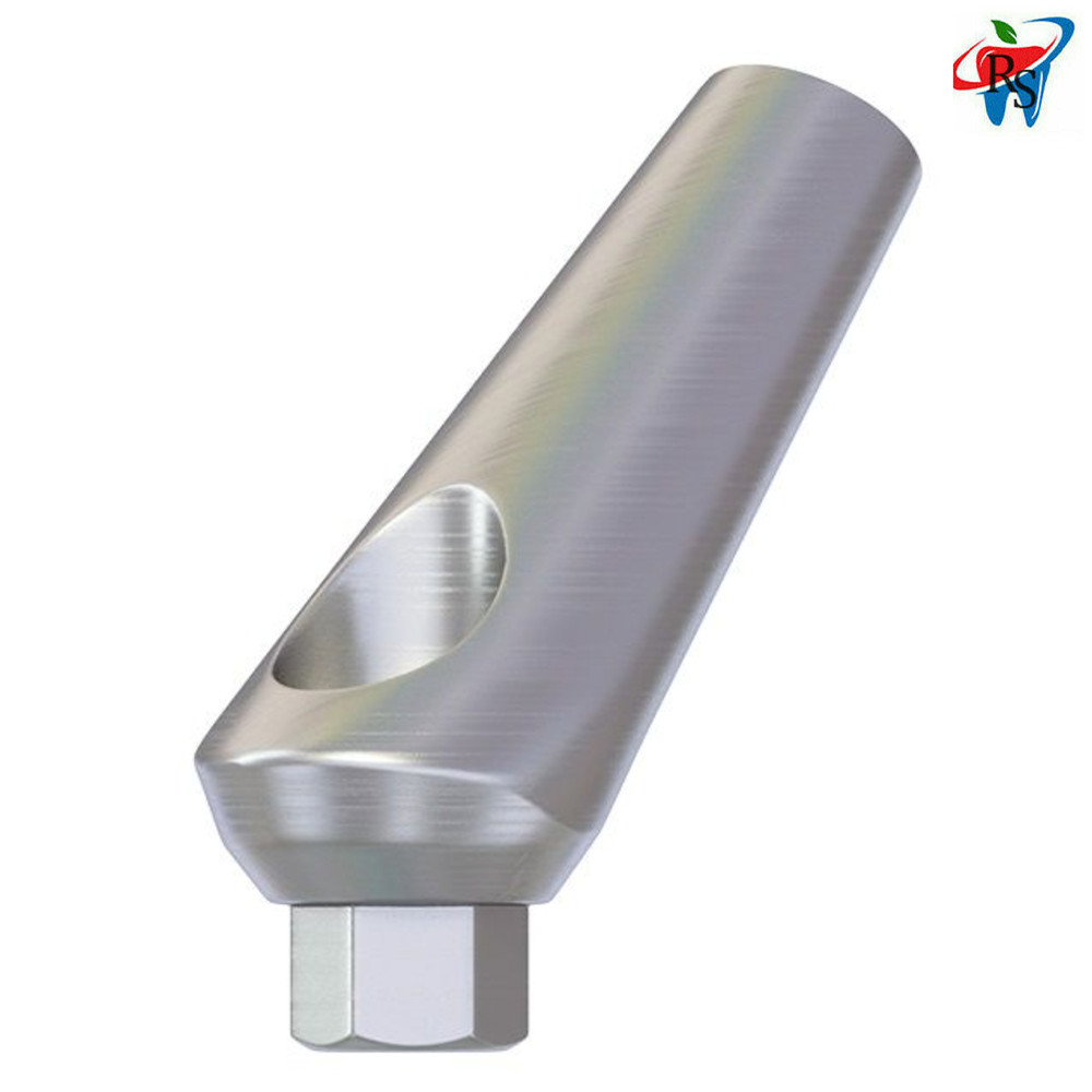 10x Dental Impl ant Abut ment Angulated Angle 45° Internal Hex Screw