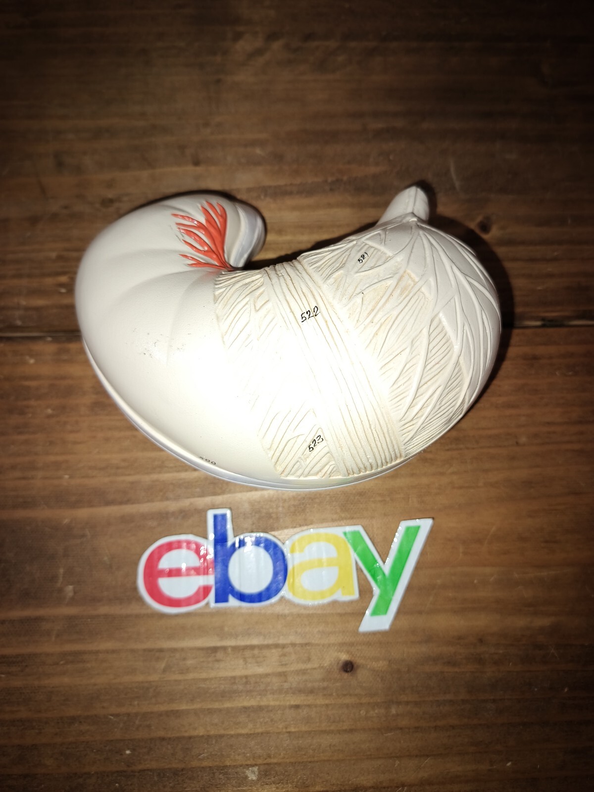 Denoyer Geppert – 2pc Stomach Replacement Part for Torso Anatomical Model Great